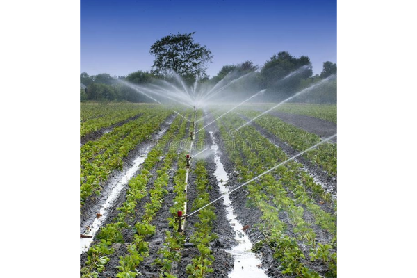 Irrigation Systems: Nurturing Crops